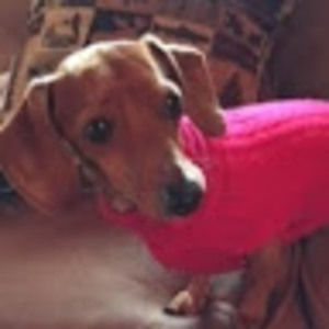 Meet your Posher, Ellen